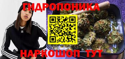 ПСИЛОЦИБИНОВЫЕ ГРИБЫ Пушкино